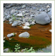 Entdecken Sie die tollen Farbenspiele